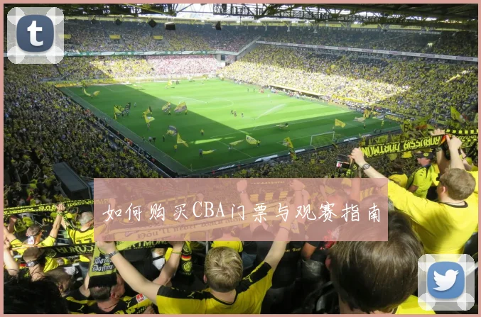 如何购买CBA门票与观赛指南