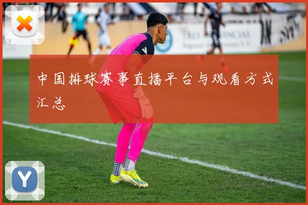 中国排球赛事直播平台与观看方式汇总