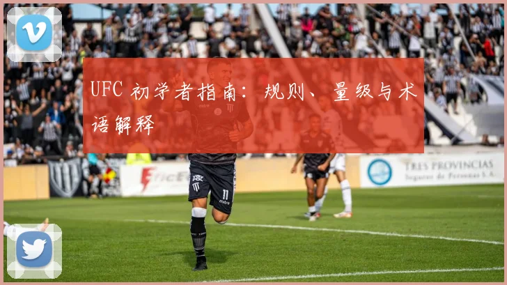 UFC 初学者指南：规则、量级与术语解释