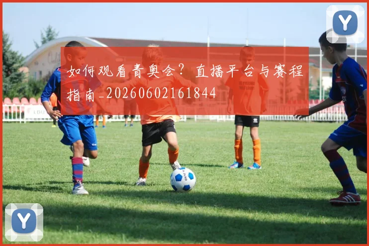 如何观看青奥会？直播平台与赛程指南_20260602161844