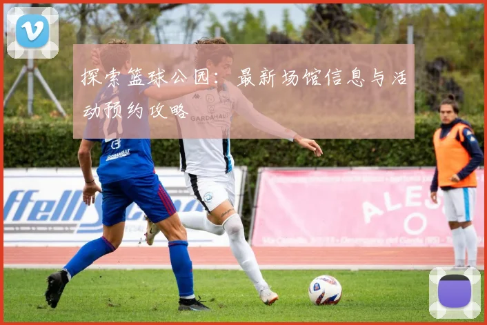 探索篮球公园：最新场馆信息与活动预约攻略