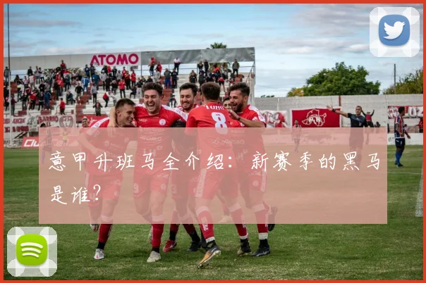 意甲升班马全介绍：新赛季的黑马是谁？